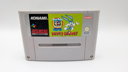 Tiny toon adventures buster - tiny,