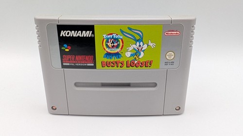 Tiny toon adventures buster - tiny,