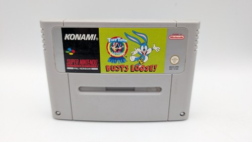 Tiny toon adventures buster - tiny,